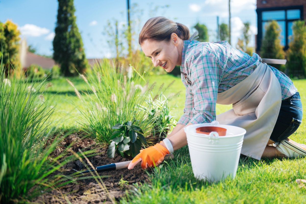 A garden without weeds – how to protect it?