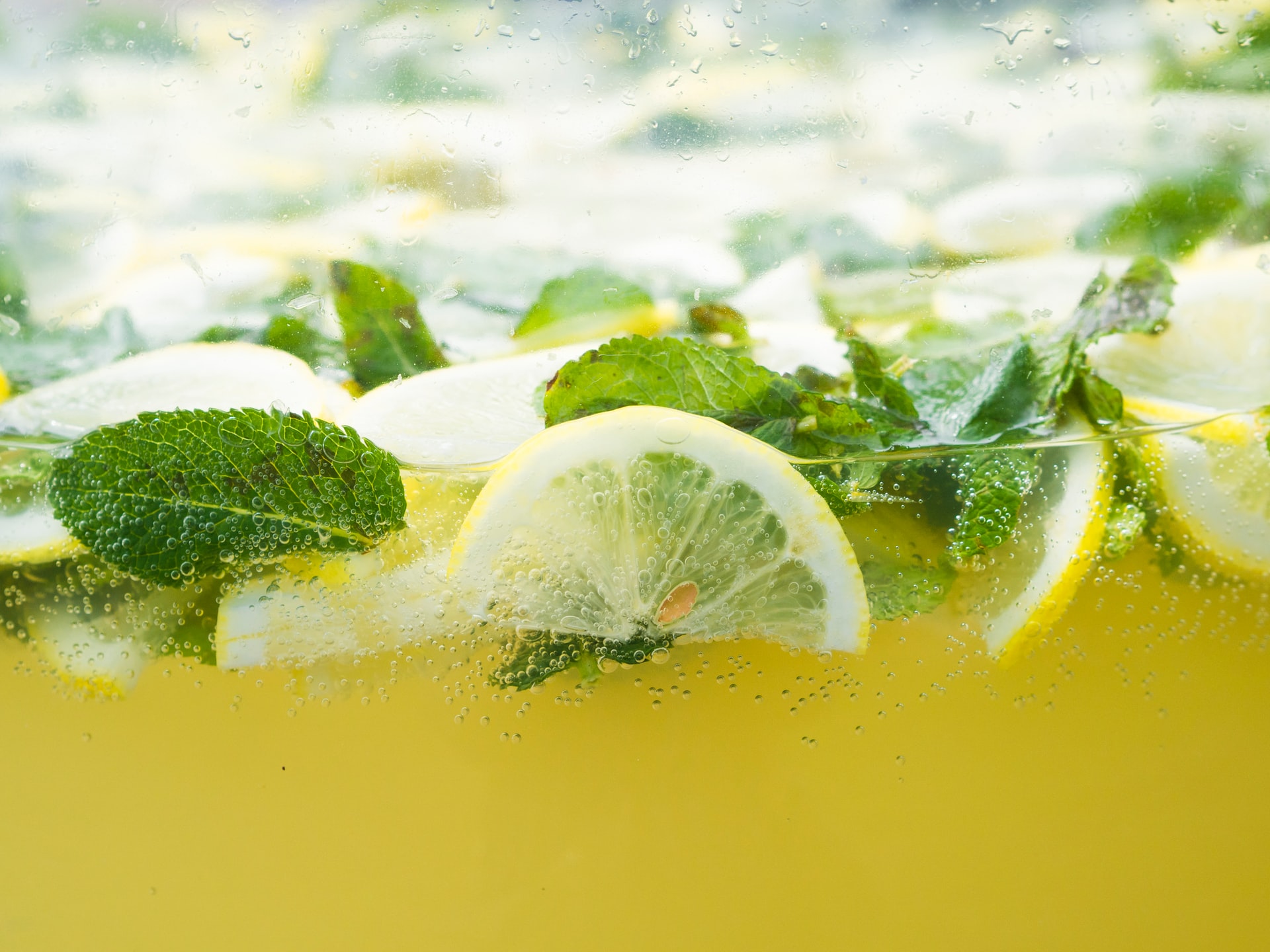 Refreshing lemonade recipes!