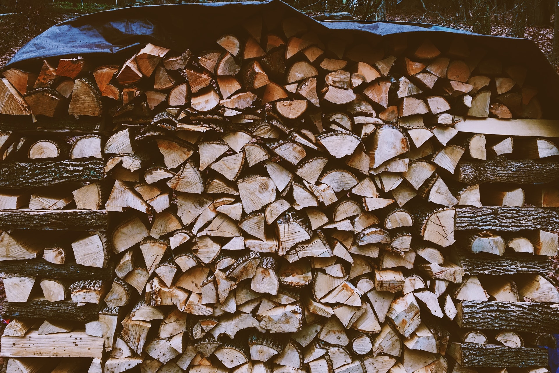 Where to store wood in the garden?