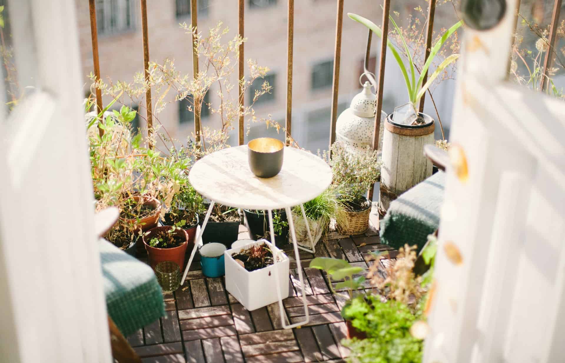 Which flowers on the balcony can stay for the winter?