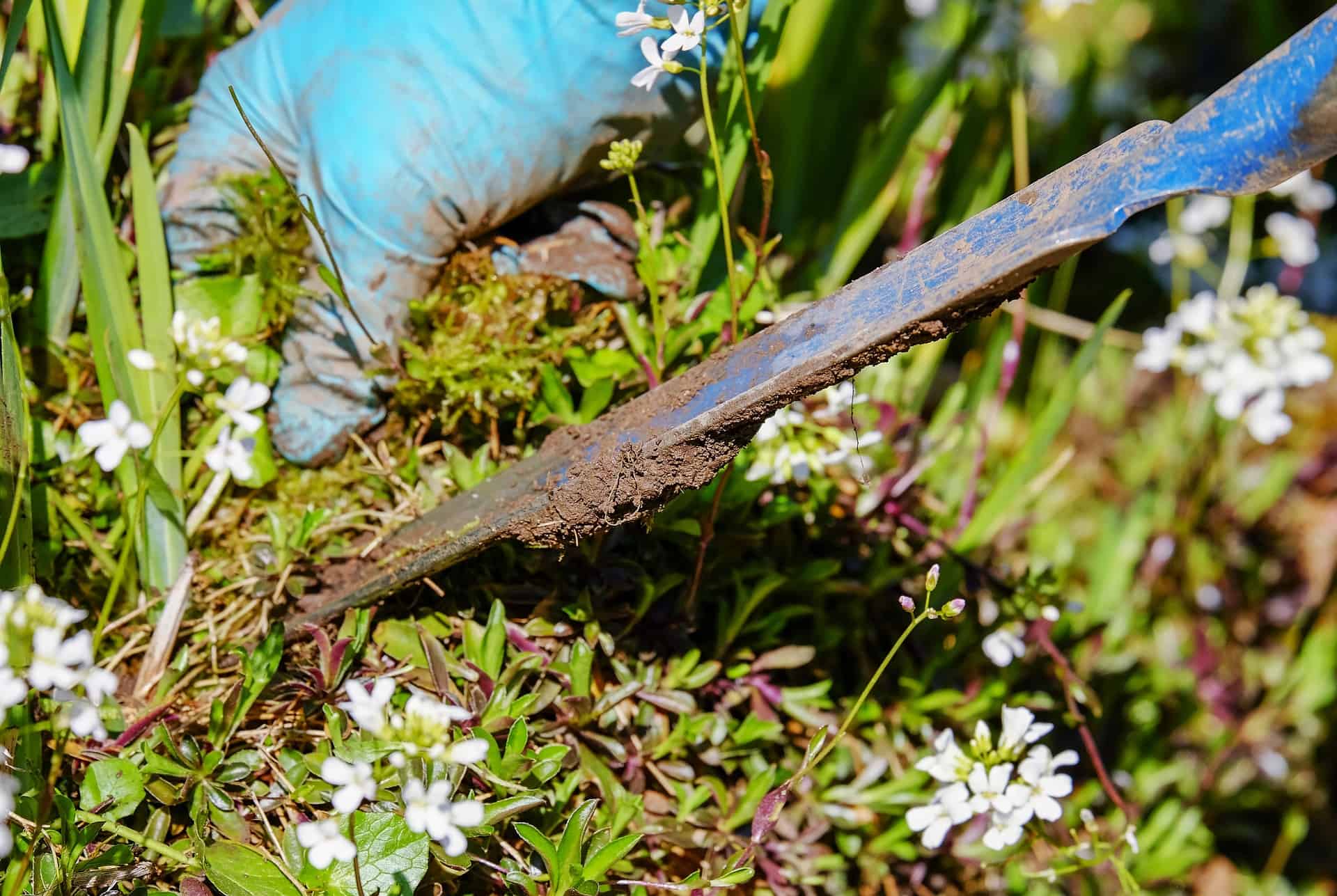 The Weed Picker Tool: How to Get Rid of Weeds in the Garden